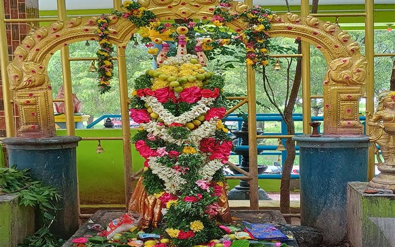 Traditional Tamil New Year Special Poojai Celebration